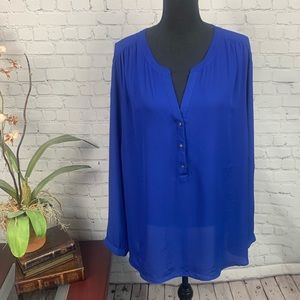 Roz & Ali Blue Slightly Sheer Blouse Plus Size 3x